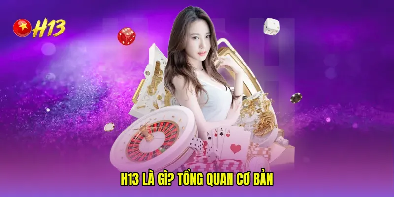 H13 là gì? Tổng quan cơ bản 
