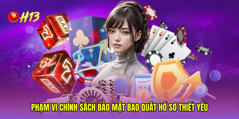 Phạm vi Chính sách bảo mật bao quát hồ sơ thiết yếu