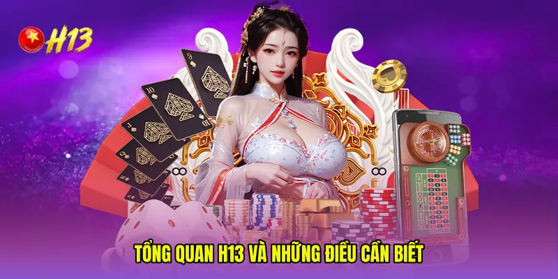 Tổng quan H13 và những điều cần biết 